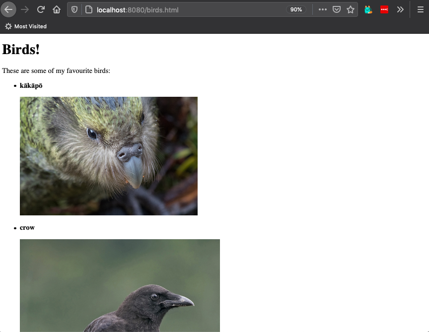 unstyled webpage showing a picture of a kākāpō and a crow in a list